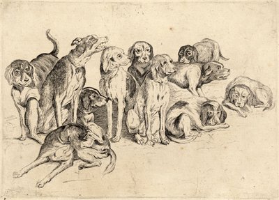 Eleven Hounds by Wenceslaus Hollar